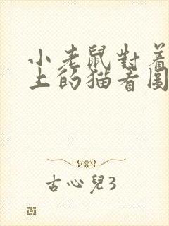 小老鼠对着电脑上的猫看图写话