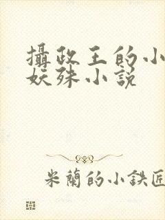 摄政王的小闲妻妖殊小说