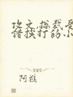 攻文,总裁受犯错挨打的小说