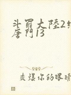 斗罗大陆2绝世唐门13封面