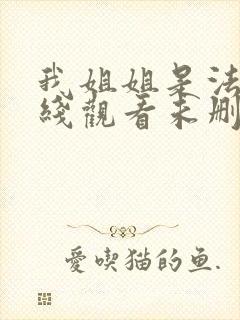 我姐姐是法官在线观看未删减星辰影院封面