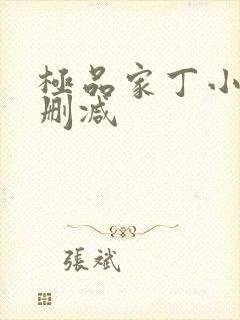 极品家丁小说无删减封面