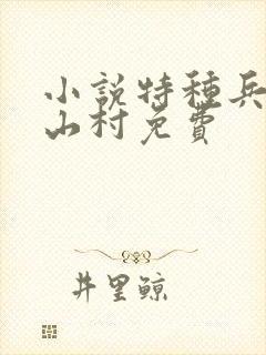 小说特种兵王在山村免费