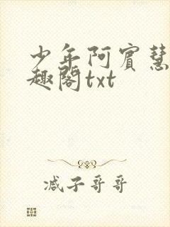 少年阿宾慧钰笔趣阁txt