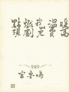 点燃我温暖你电视剧免费高清观看