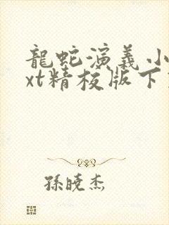 龙蛇演义小说txt精校版下载封面