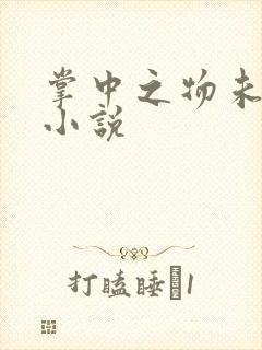 掌中之物未删减小说