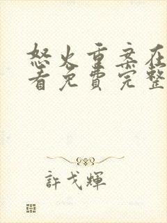 怒火重案在线观看免费完整版国语封面