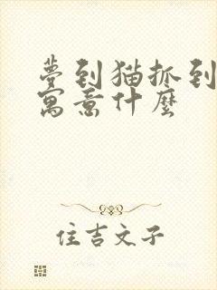 梦到猫抓到老鼠寓意什么封面