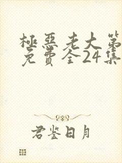 极恶老大第3季免费全24集封面