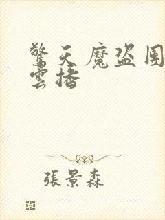 惊天魔盗团3 云播封面