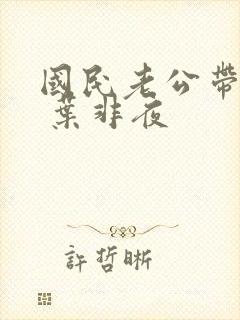 国民老公带回家 叶非夜封面