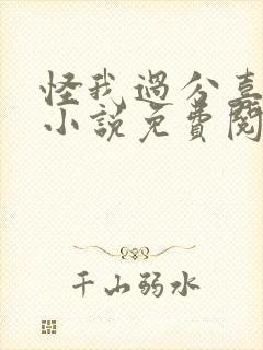 怪我过分喜欢你小说免费阅读封面