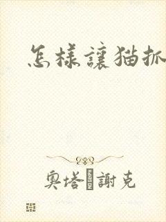 怎样让猫抓老鼠