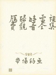 雁归时电视剧免费观看全集高清