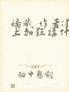 娇藏 作者:狂上加狂讲什么封面