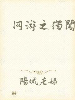 网游之独闯天涯封面