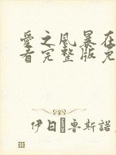 爱之风暴在线观看完整版免费封面