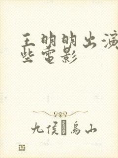 王明明出演过哪些电影封面