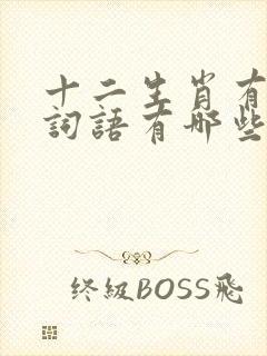 十二生肖有关的词语有哪些封面