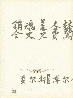 销魂美人林婷婉全文免费阅读小说