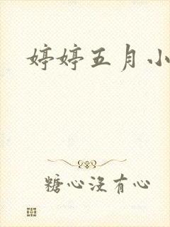 婷婷五月小说封面