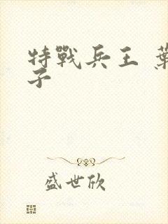 特战兵王 叶公子封面