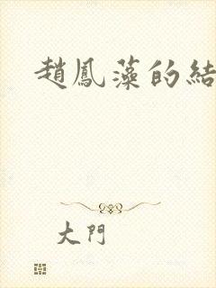 赵凤藻的结局封面