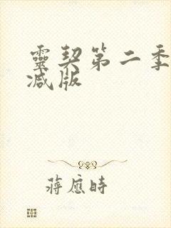 灵契第二季未删减版