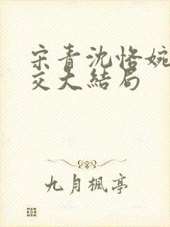 宋青沈恪婉秋外交大结局