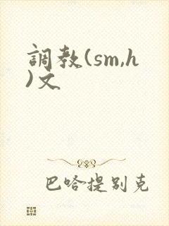 调教(sm,h)文封面