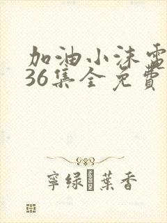 加油小沫电视剧36集全免费播放