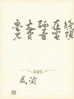 鲁大师在线播放免费看电视剧最新封面