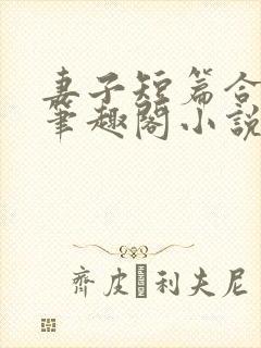 妻子短篇合集_笔趣阁小说封面