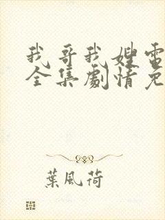 我哥我嫂电视剧全集剧情免费观看