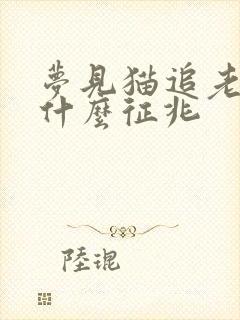 梦见猫追老鼠是什么征兆封面