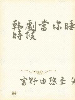 韩剧当你睡着的时候