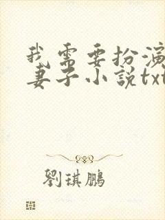 我需要扮演他的妻子小说txt