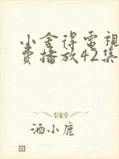 小舍得电视剧免费播放42集封面