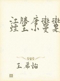 江胜唐微微柳如烟王小曼是什么小说