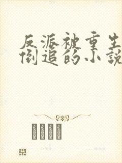 反派被重生女主倒追的小说