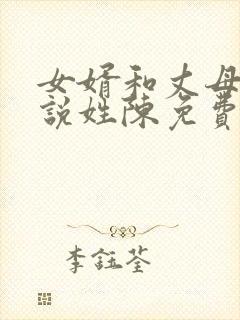 女婿和丈母娘小说姓陈免费阅读