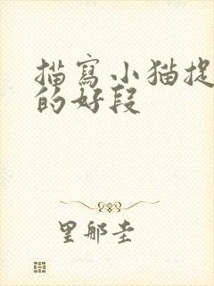 描写小猫捉老鼠的好段