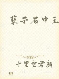 孽子石中玉封面