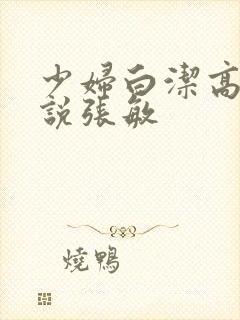 少妇白洁高义小说张敏封面