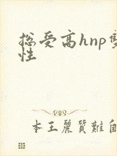 总受高hnp双性封面