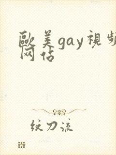 欧美gay视频网站