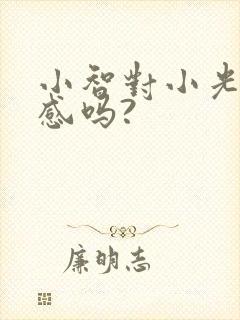 小智对小光有好感吗?