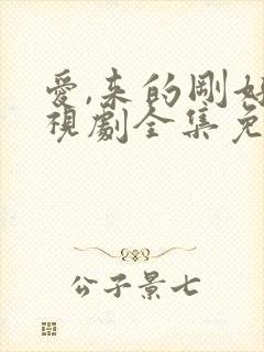 爱,来的刚好电视剧全集免费观看