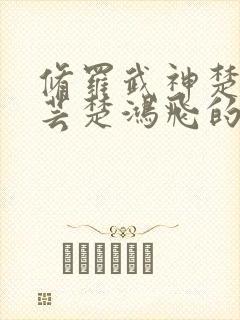 修罗武神楚风楚芸楚鸿飞的小说